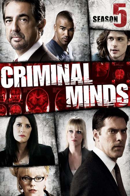 Esprits Criminels - Saison 5 wiflix