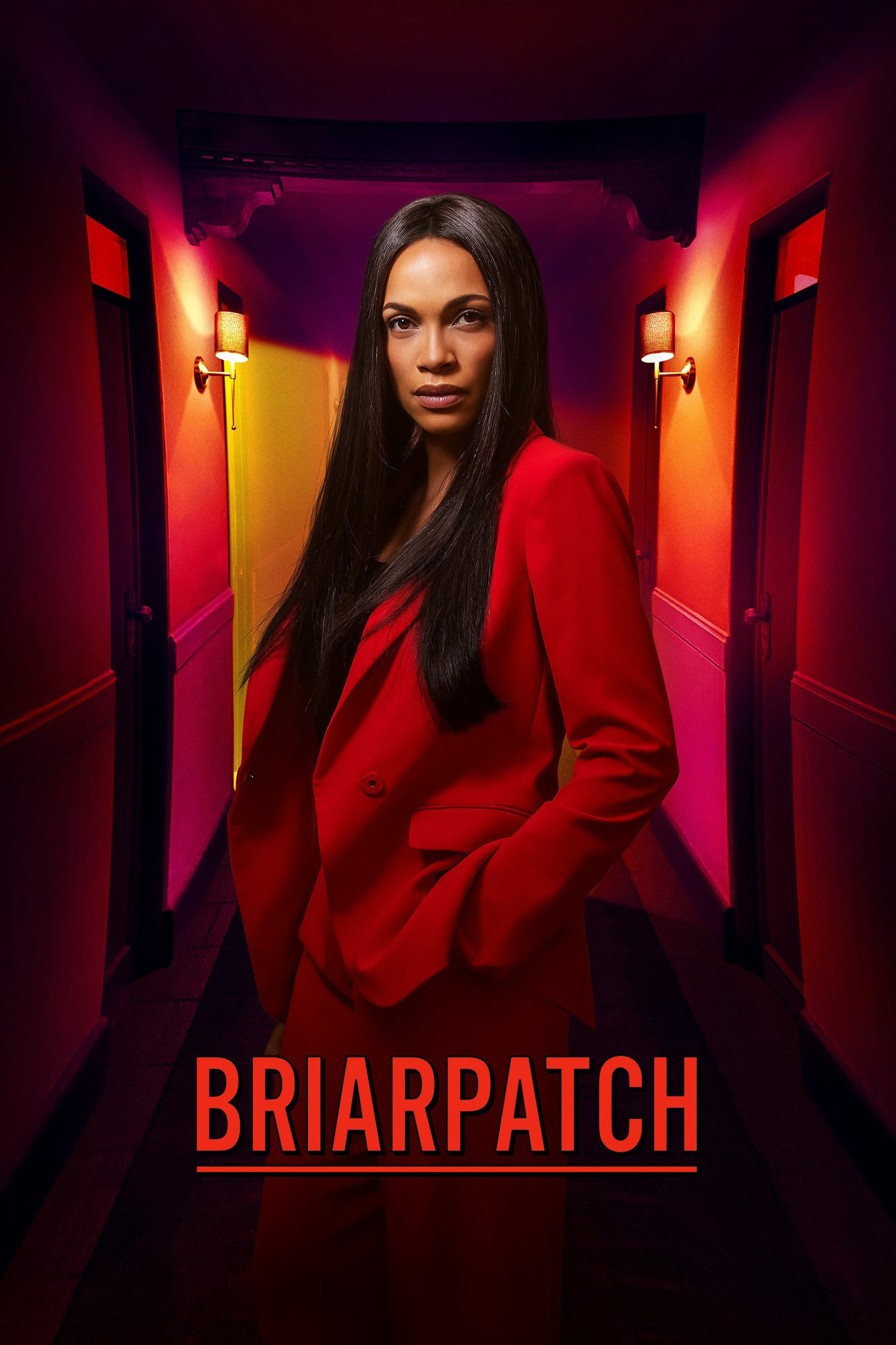 Briarpatch - Saison 1 wiflix