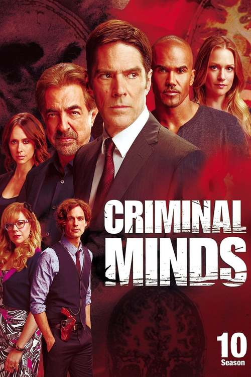 Esprits Criminels - Saison 10 wiflix