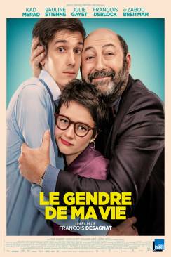 Le Gendre de ma vie wiflix