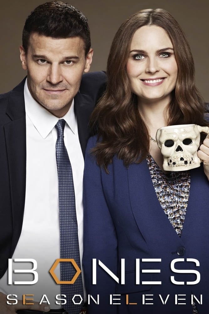 Bones - Saison 11 wiflix