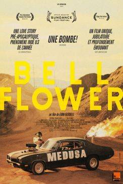 Bellflower wiflix