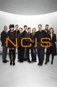 NCIS : Enquêtes spéciales - Saison 16 wiflix