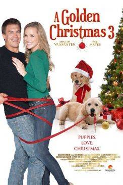 De l'amour pour Noël (A Golden Christmas 3) wiflix