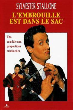 L'Embrouille est dans le sac wiflix