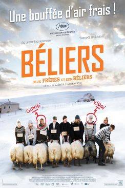 Béliers (Hrútar) wiflix