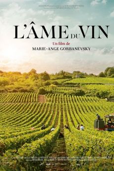 L'Âme du vin wiflix