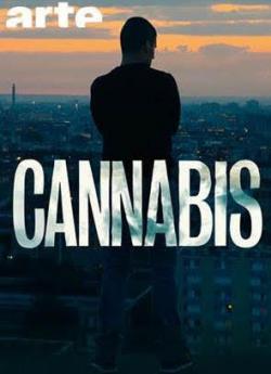 Cannabis - Saison 1 wiflix