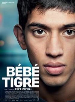 Bébé Tigre wiflix