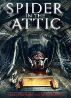 Spider in the Attic wiflix