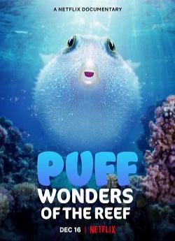 Comme un poisson dans son récif wiflix