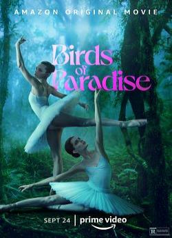 Birds of Paradise wiflix