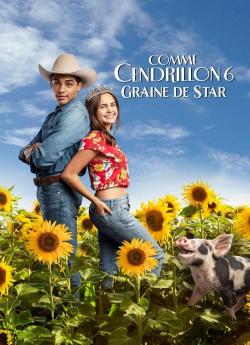 Comme Cendrillon 6 : Graine De Star wiflix