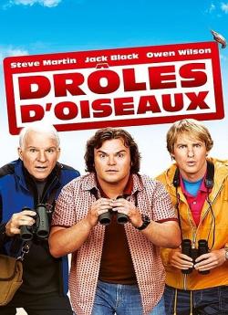 Drôles d'oiseaux wiflix