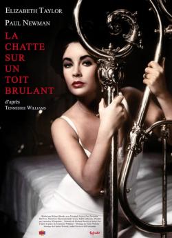 La Chatte sur un toit brûlant wiflix