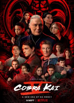 Cobra Kai - Saison 5 wiflix