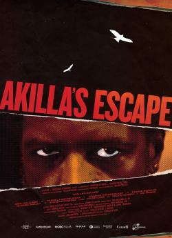 Akilla's Escape wiflix