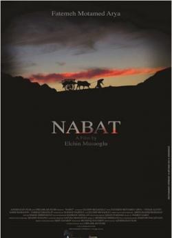 Nabat wiflix