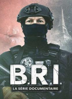 B.R.I. - la série documentaire - Saison 1 wiflix