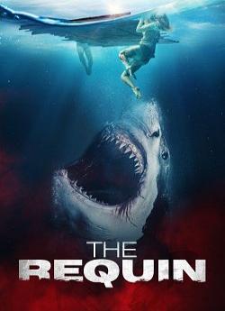 The Requin wiflix