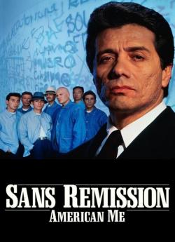 Sans remission wiflix