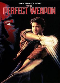 L'Arme Parfaite wiflix