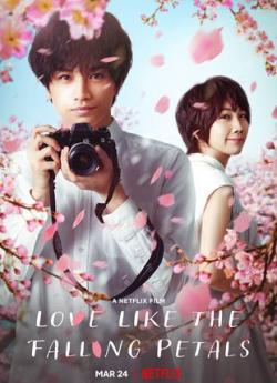 Love Like the Falling Petals wiflix