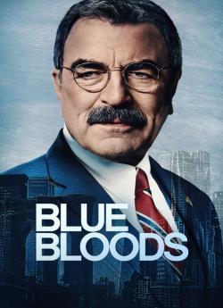 Blue Bloods - Saison 14 wiflix