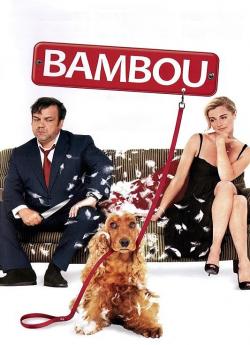 Bambou wiflix