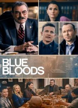 Blue Bloods - Saison 13 wiflix