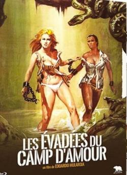 Les évadées du camp d'amour wiflix