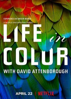 La Vie en couleurs avec David Attenborough - Saison 1 wiflix