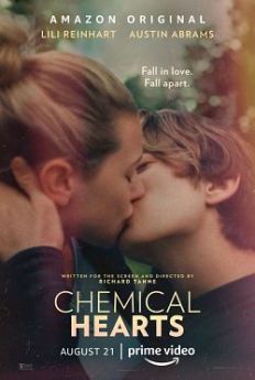 Chemical Hearts wiflix