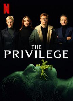 The Privilege wiflix