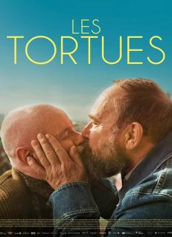 Les Tortues wiflix