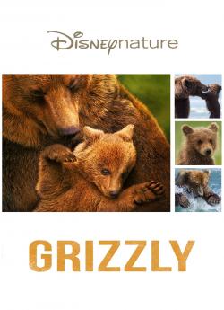 Grizzly wiflix