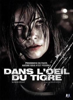 Dans l'oeil du tigre wiflix